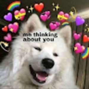 Meet your Posher, Aden